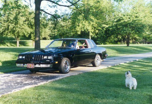 81cutlass8.jpg (58433 bytes)